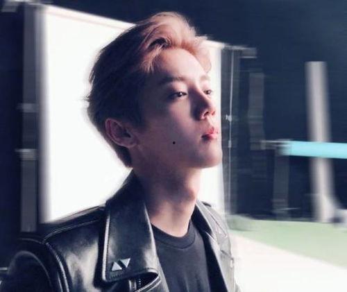 娱乐吃瓜鹿晗,娱乐界的瓜王,揭秘明星背后的故事